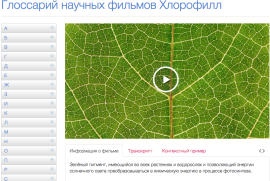 Биохимия фотосинтеза - 4