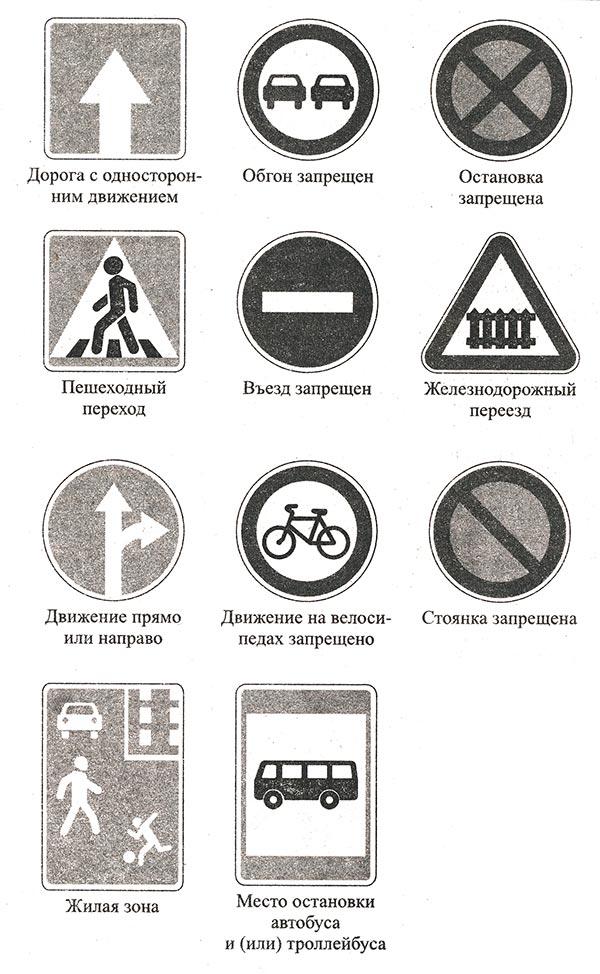 Зеленый нам дорогу открывает - 1