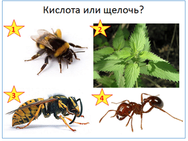 Индикаторы - 11