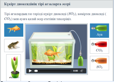 Күкірт және күкірт диоксиді - 5