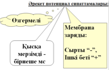 Мембраналық потенциал және белсенді тасымалдау - 2