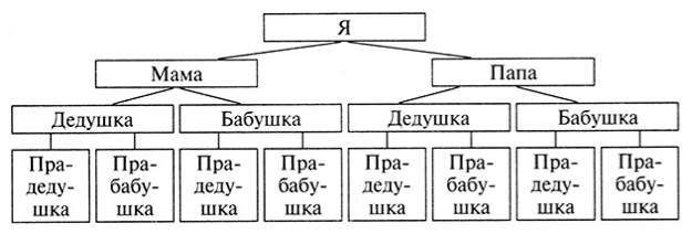 Моя родословная - 1